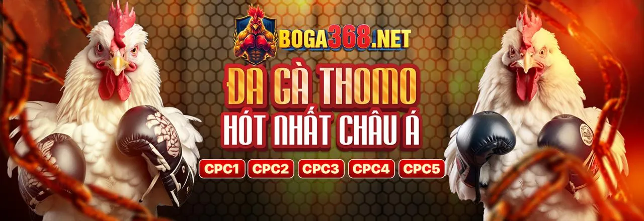 Tin tức Kingfun Web cập nhật mới nhất về cá cược thể thao và ưu đãi