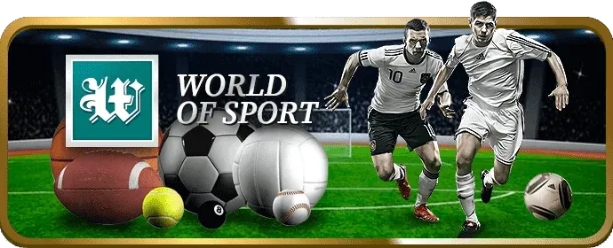 Hỗ trợ và FAQ Kingfun Web